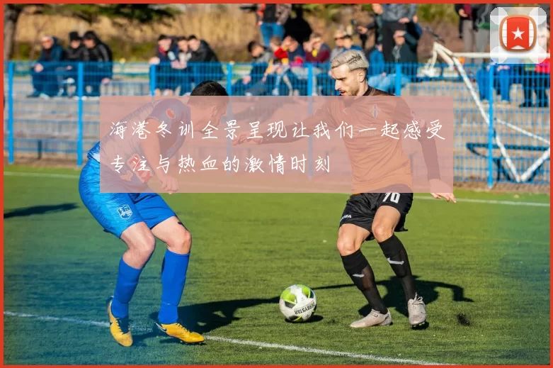 海港冬训全景呈现让我们一起感受专注与热血的激情时刻