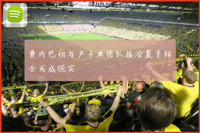 费内巴切与卢卡库团队接洽夏季转会或成现实